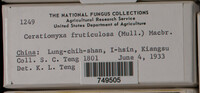 Image Associated With the Occurence